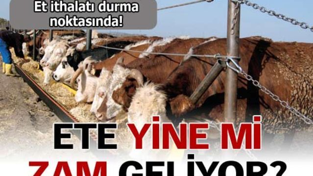 İthal etle yerlinin fiyatı eşitlendi
