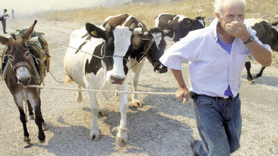 PKK'lı Bahoz'dan "Kül edin" emri!