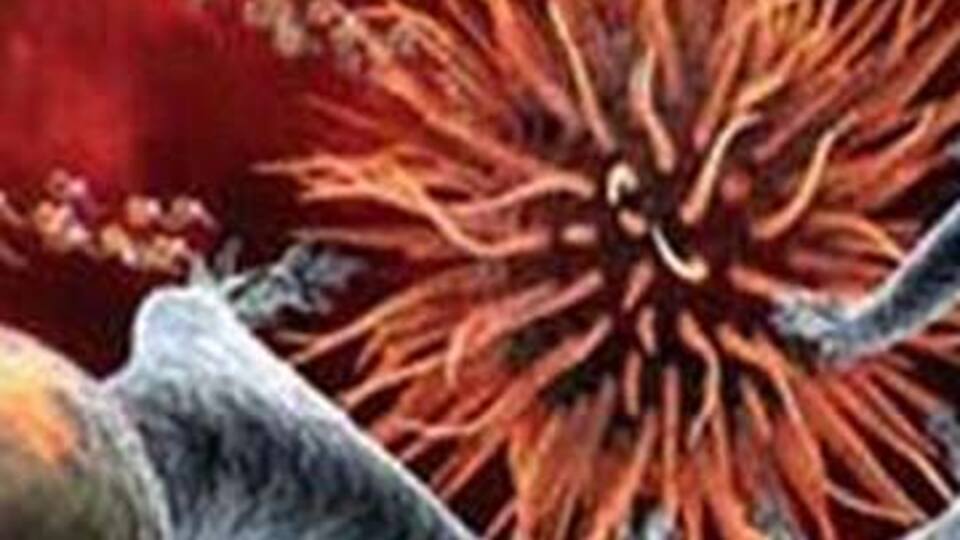 Her tümör hücresi, kanser kök hücresine dönüşebiliyor