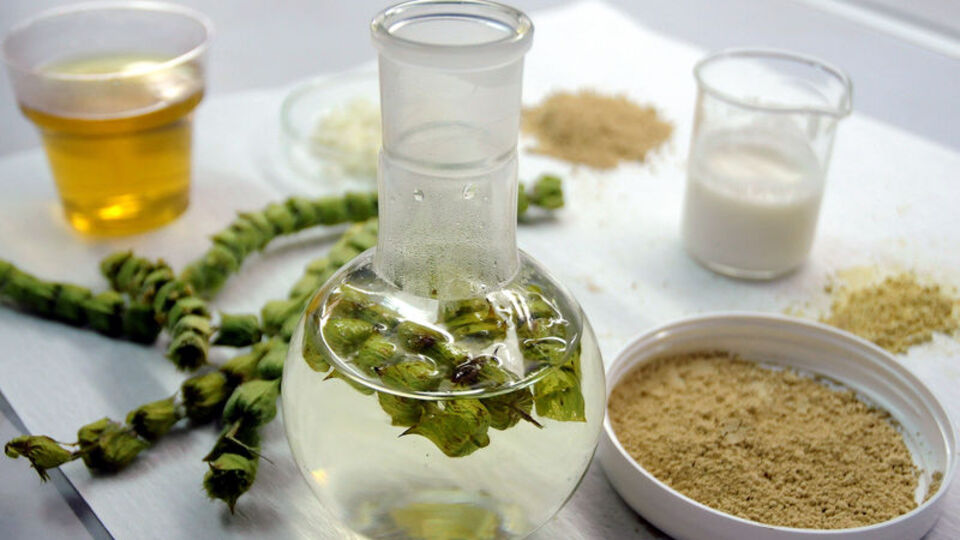 Yaşam kaynağı kefir