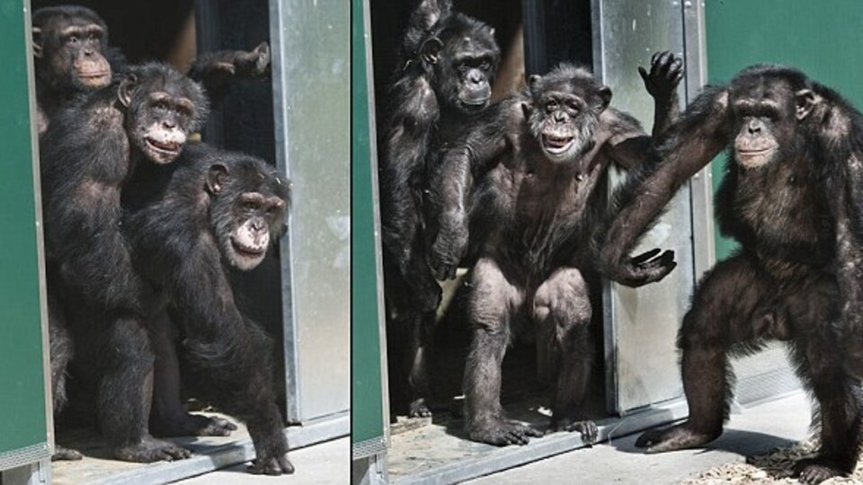 İnsanlık utancı! GALERİ / VİDEO