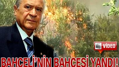 Bahçeli'nin bahçesi yandı! VİDEO