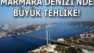 Marmara Denizi'nde büyük tehlike!