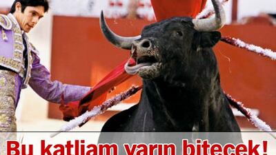 Bu katliam Katalonya'da yarın bitecek