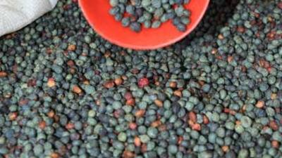 Sağlığa bire bir kahve