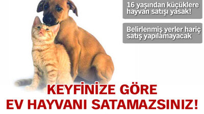 Keyfinize göre ev hayvanı satamazsınız!