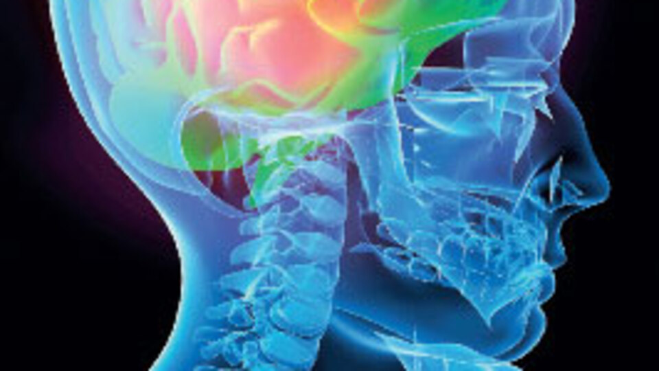 Felçliler için yeni umut