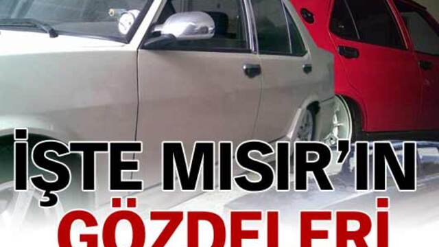 Mısır'ın gözdeleri: Doğan ve Şahin!