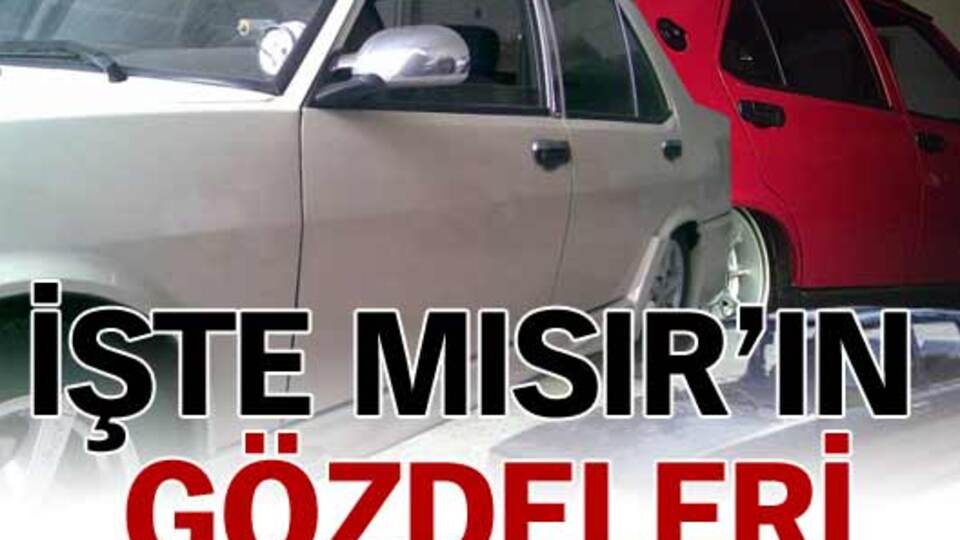 Mısır'ın gözdeleri: Doğan ve Şahin!