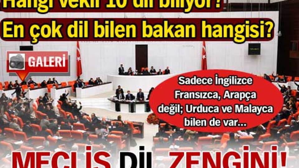 Meclis 'dil' zengini