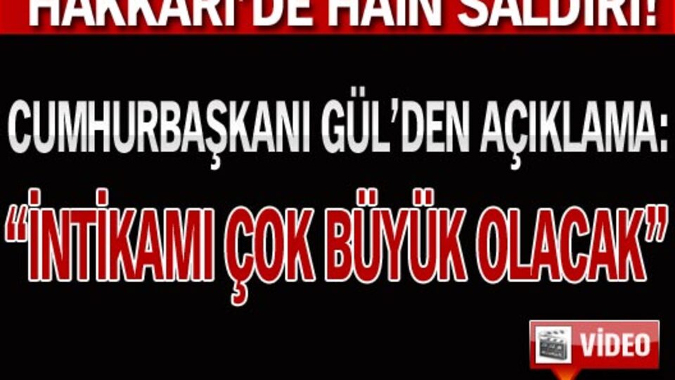 Cumhurbaşkanı Gül'den açıklama! VİDEO