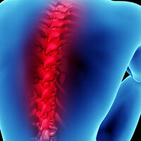 Kemik erimesi riskinizi test edin!