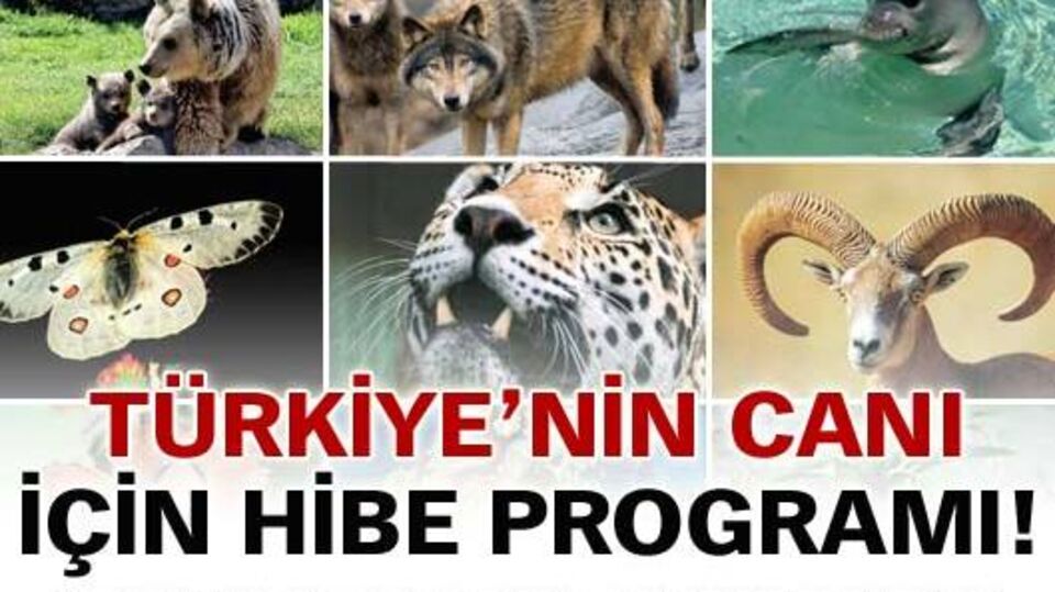 "Türkiye'nin Canı" için hibe programı