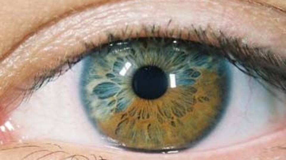 Göz yaşının bu faydasını biliyor muydunuz?