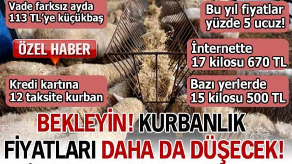 İşte kurbanlık fiyatları!