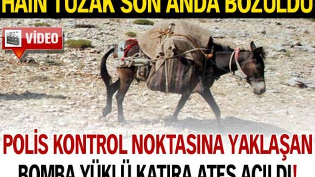 Hain tuzak son anda bozuldu! VİDEO