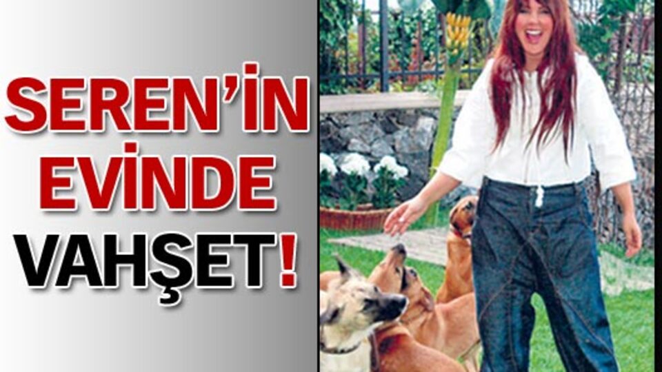 Seren'in evinde vahşet!