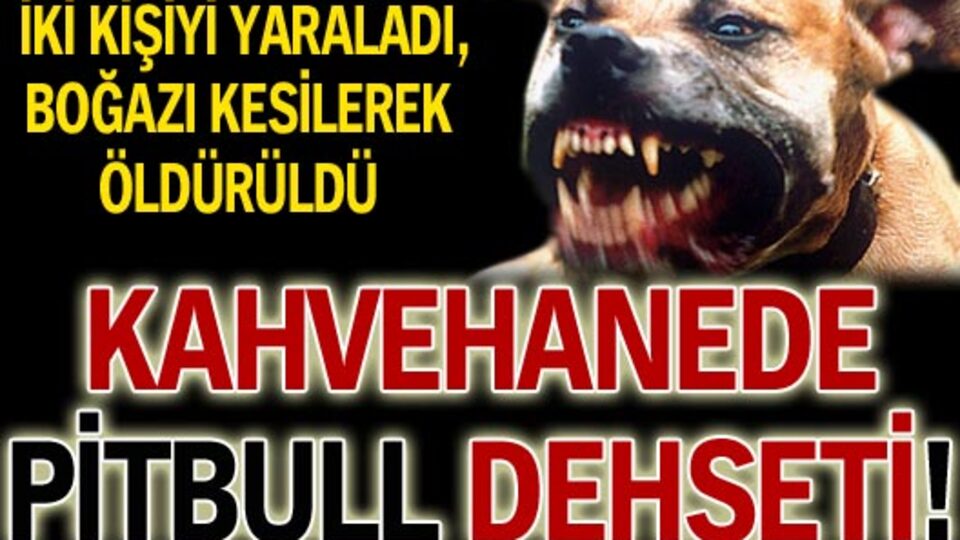 İki kişiyi yaraladı, boğazı kesilerek öldürüldü!