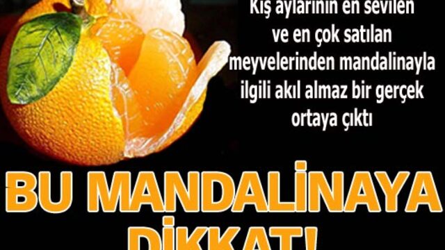Bu mandalinaya dikkat!