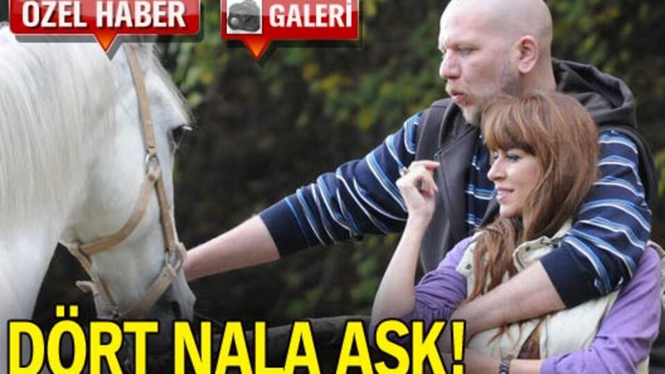 Dört nala aşk GALERİ