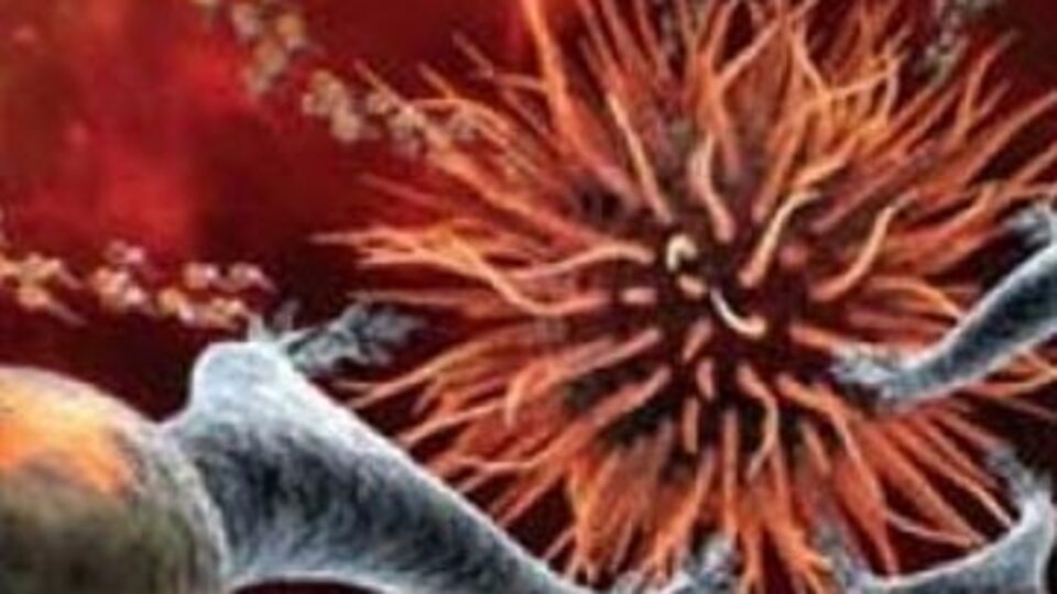 Kalple ilgili yeni araştırma