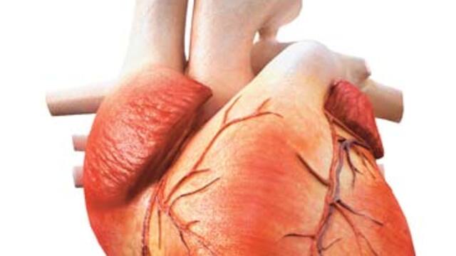 Kolesterol düşüren ilaçlar damar sertliğini gideriyor