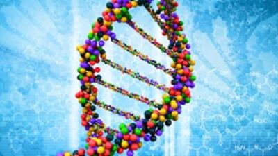 İstanbul'a bilimadamı yağacak