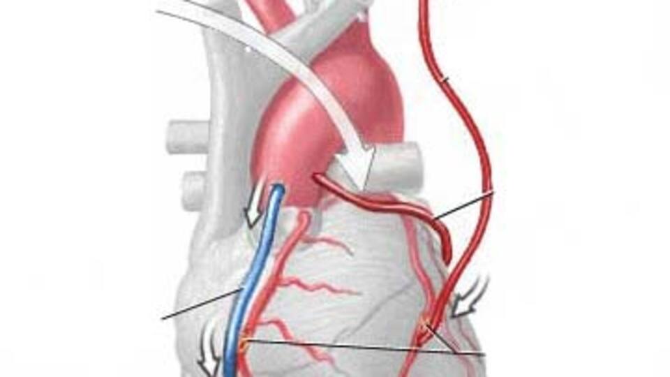 Kolesterol ilaçları işe yarıyor