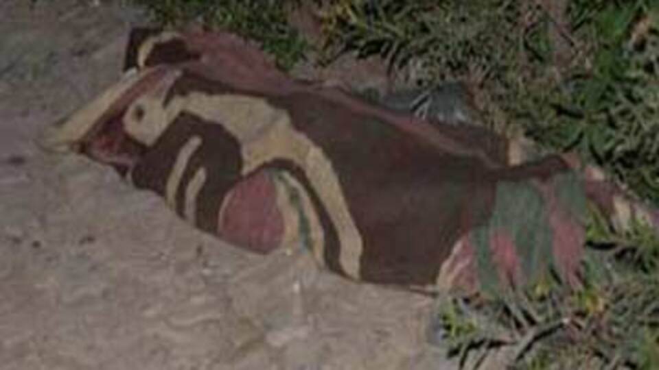 Manyas'ta şüpheli ölüm