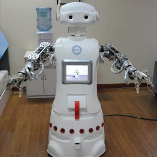 Dadı robot Hui Hui