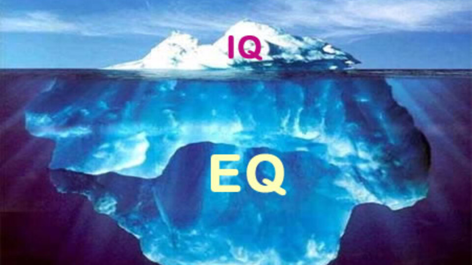 Sağlak ile solaklar arasında IQ farkı yok