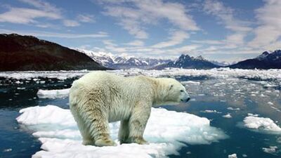 Buzullar erirse, deniz ne kadar yükselir?