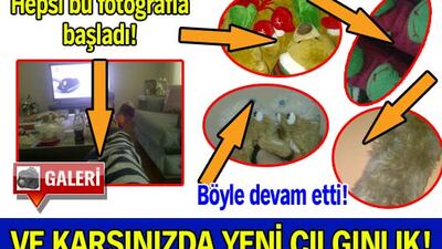 Çılgınlık sırası Demet Akalın'da! GALERİ