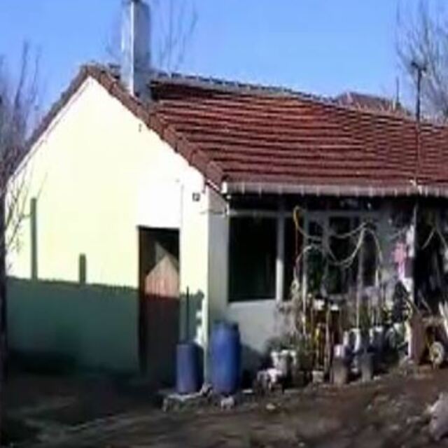 Piyangoyla aynı yaşta
