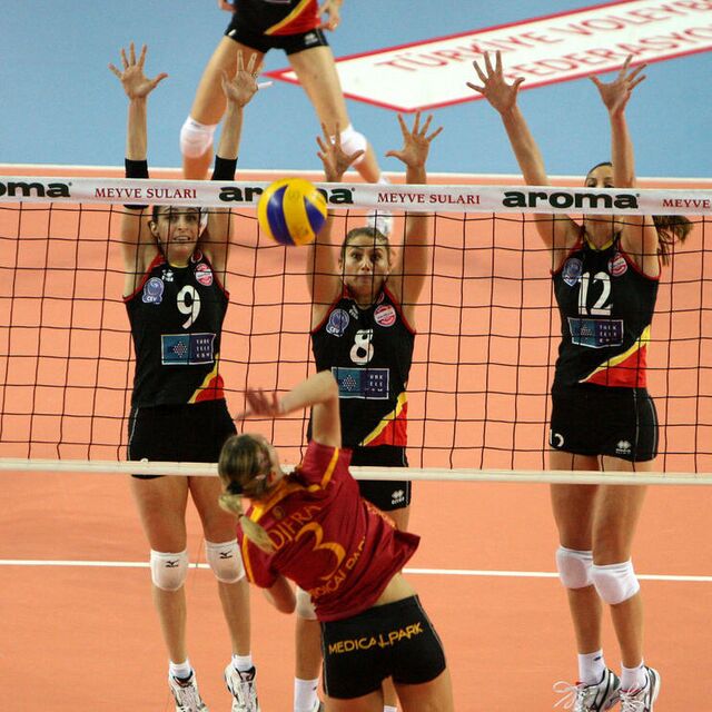 Aslan evinde kayıp!