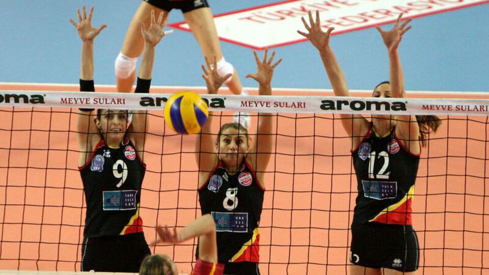 Aslan evinde kayıp!