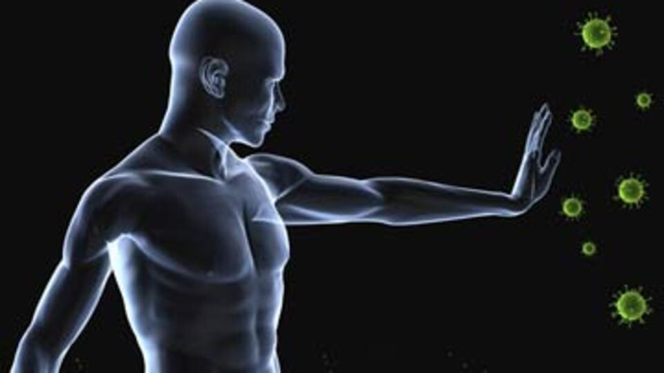 Kutsanmış tohumlar!