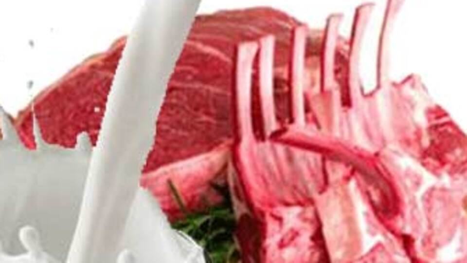 EBK'ya Merkez yetkisi!