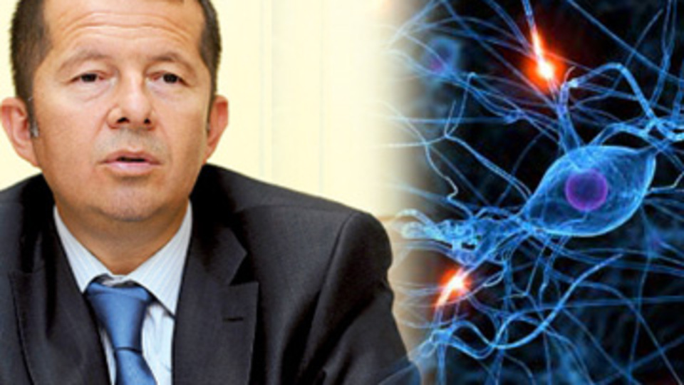 'Kök hücre'ye özel izin