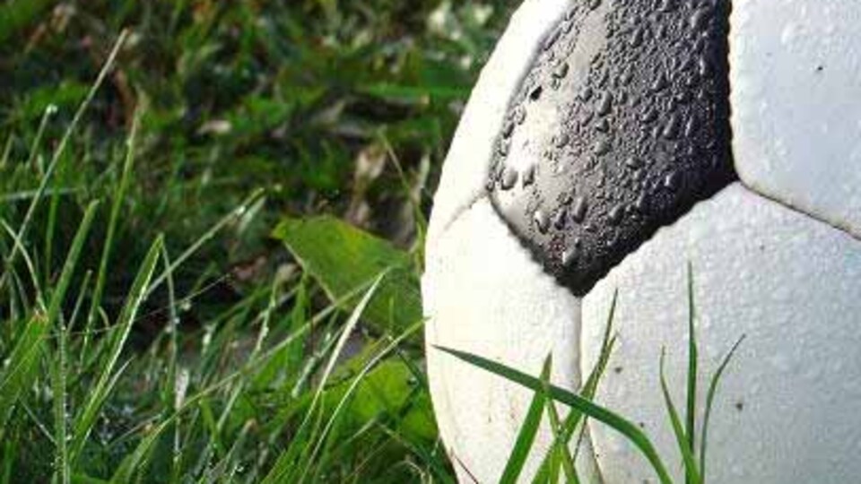 Hakan, Aykut, Oğuz...