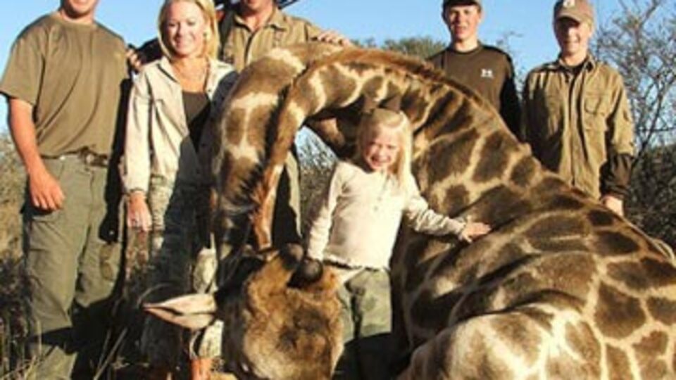 Tatilde aile boyu zürafa katliamı!