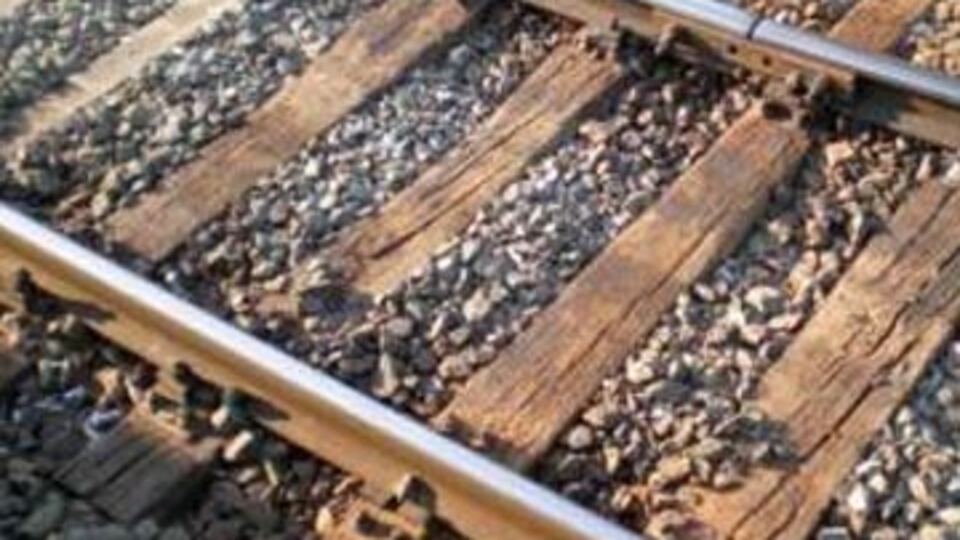 İpek böceği yıl sonunda raylarda