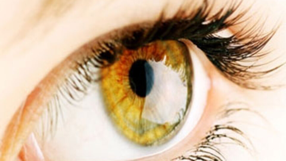 Kök hücreden retina