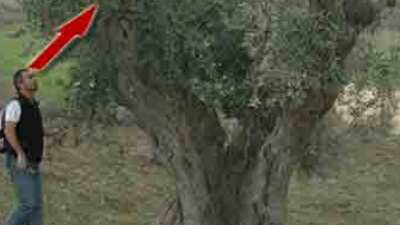 Cudi Dağı'nda şok eden görüntü! GALERİ