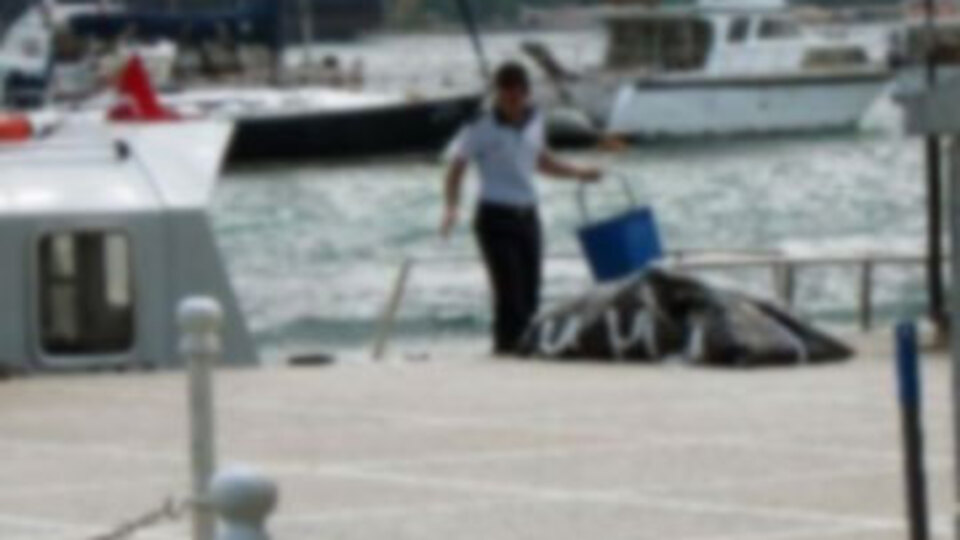 Boğaz'da kadın cesedi bulundu!