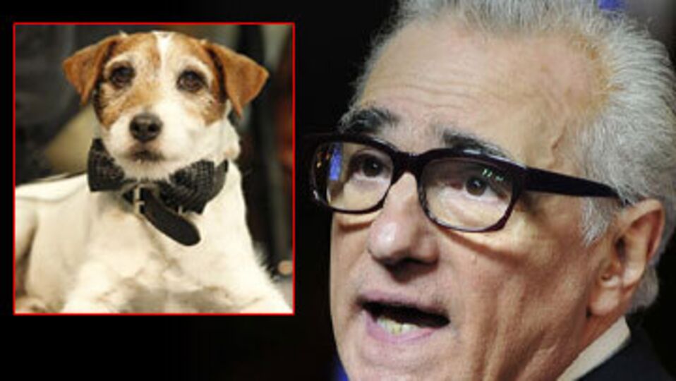 Martin Scorsese 'Uggie'yi kıskandı