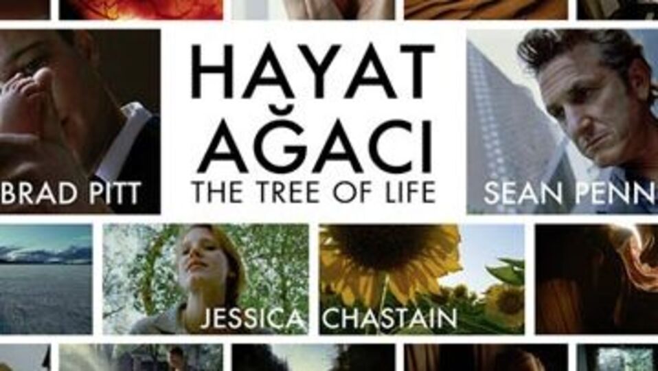 Oscar adaylarına şipşak