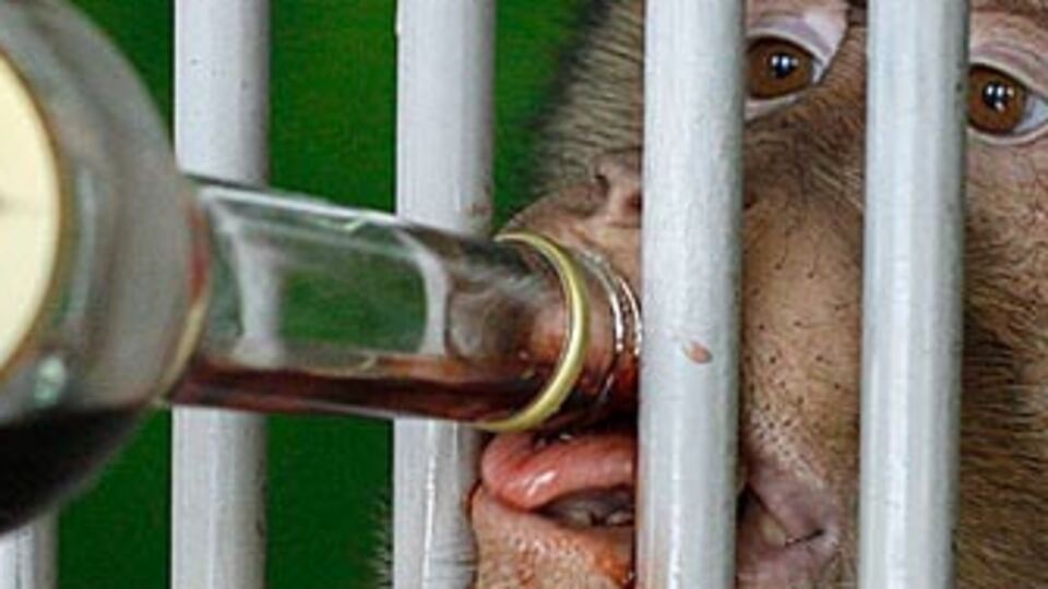 Soğuktan donmasınlar diye...