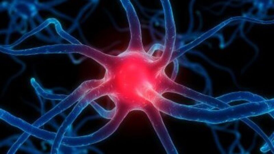 Parkinson'la vedalaşmaya başlayın!