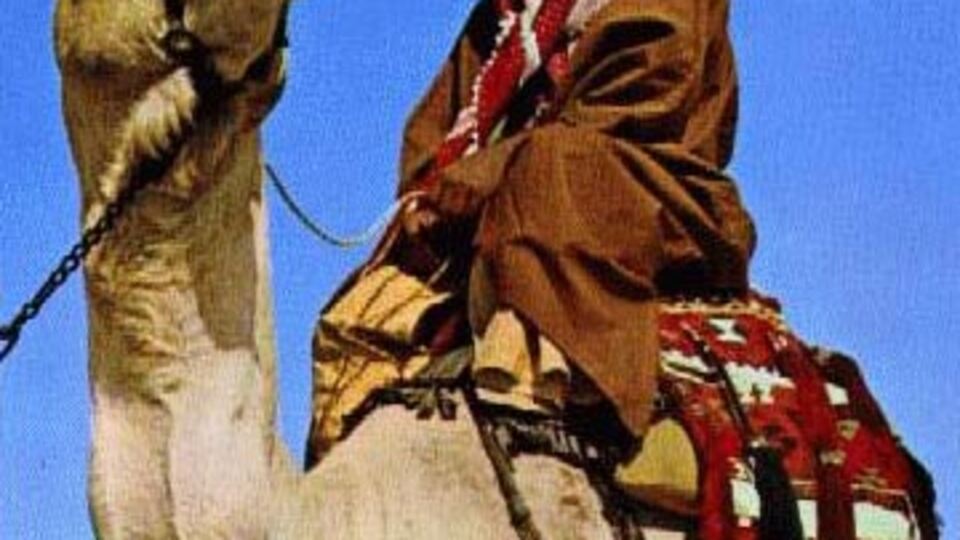 Bedeviler sınır muhafızlarını kaçırdı